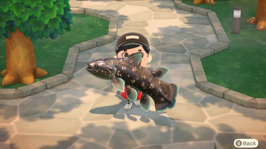 how to catch the coelacanth new horizons